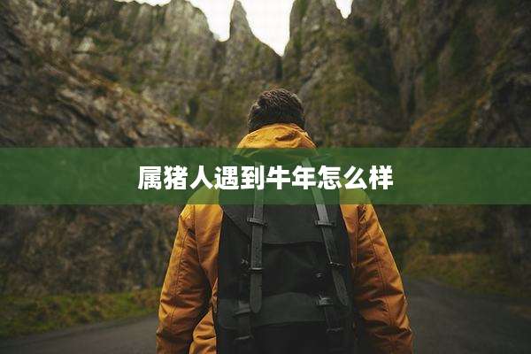 属猪人遇到牛年怎么样