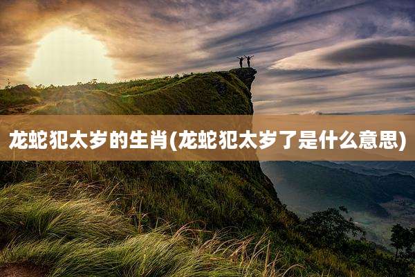 龙蛇犯太岁的生肖(龙蛇犯太岁了是什么意思)