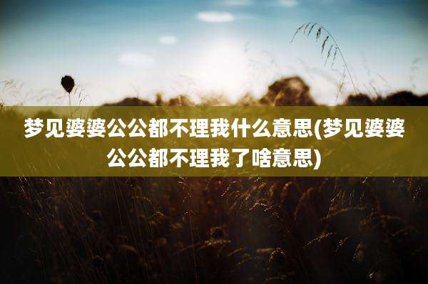 梦见婆婆公公都不理我什么意思(梦见婆婆公公都不理我了啥意思)