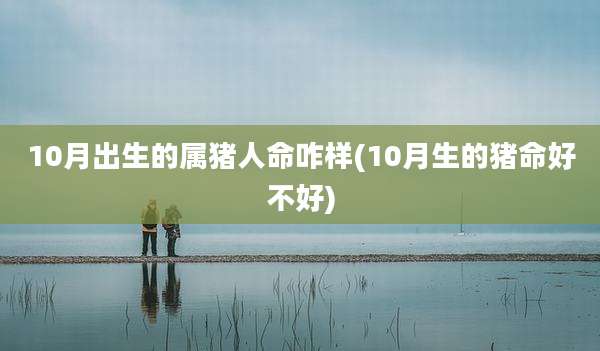 10月出生的属猪人命咋样(10月生的猪命好不好)
