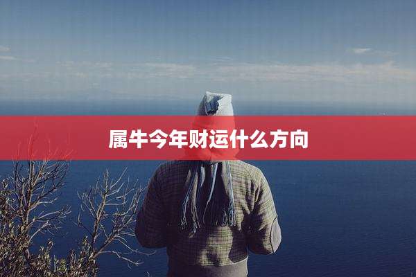 属牛今年财运什么方向