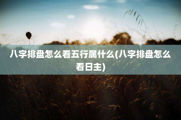 八字排盘怎么看五行属什么(八字排盘怎么看日主)