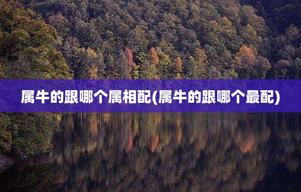 属牛的跟哪个属相配(属牛的跟哪个最配)
