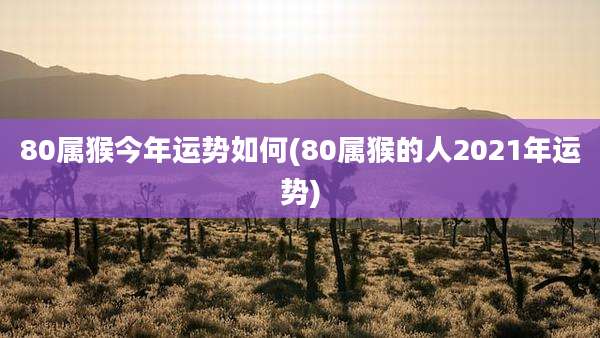 80属猴今年运势如何(80属猴的人2021年运势)