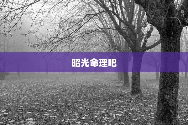 昭光命理吧
