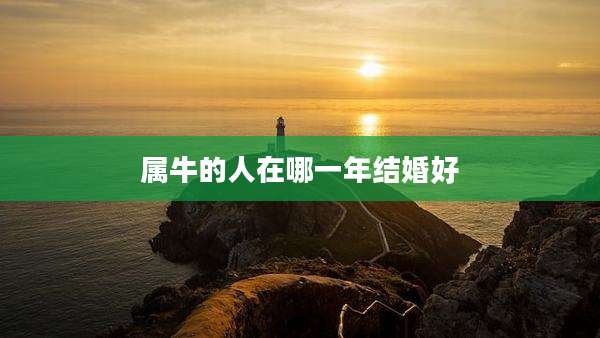 属牛的人在哪一年结婚好