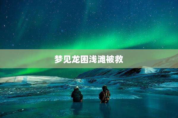梦见龙困浅滩被救