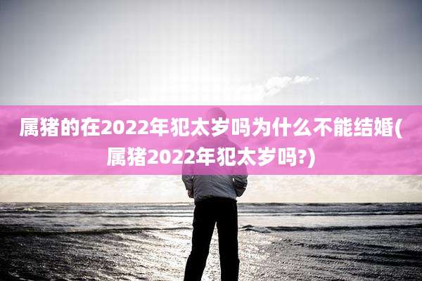 属猪的在2022年犯太岁吗为什么不能结婚(属猪2022年犯太岁吗?)