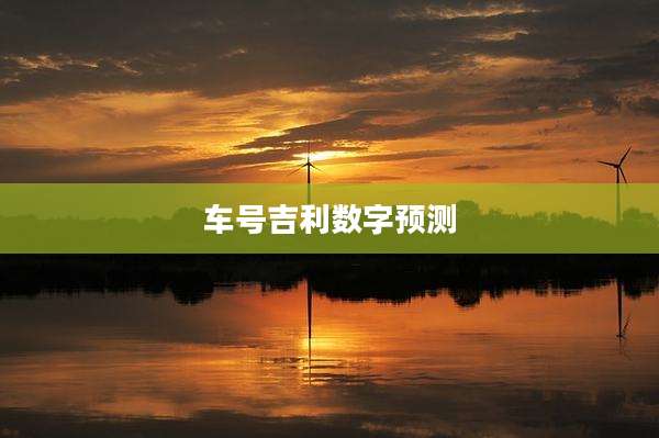 车号吉利数字预测