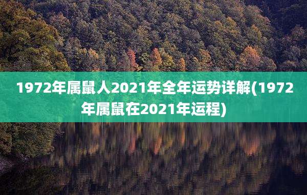 1972年属鼠人2021年全年运势详解(1972年属鼠在2021年运程)