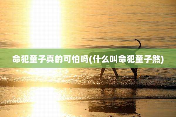 命犯童子真的可怕吗(什么叫命犯童子煞)