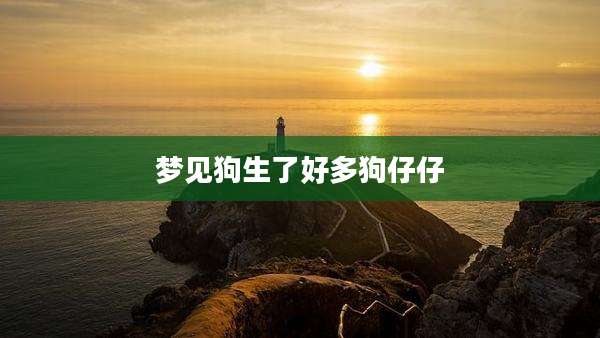 梦见狗生了好多狗仔仔