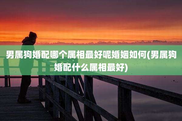 男属狗婚配哪个属相最好呢婚姻如何(男属狗婚配什么属相最好)