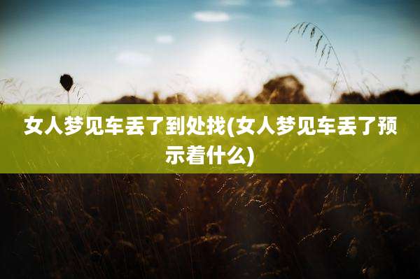 女人梦见车丢了到处找(女人梦见车丢了预示着什么)