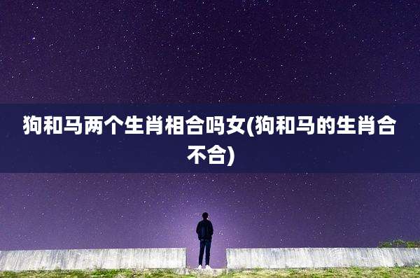 狗和马两个生肖相合吗女(狗和马的生肖合不合)