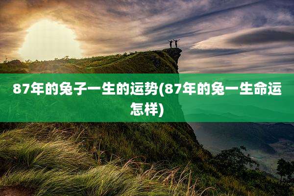 87年的兔子一生的运势(87年的兔一生命运怎样)