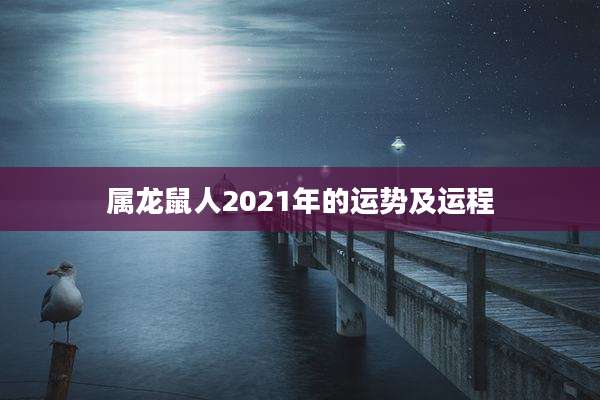 属龙鼠人2021年的运势及运程