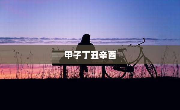 甲子丁丑辛酉