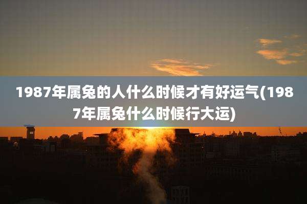 1987年属兔的人什么时候才有好运气(1987年属兔什么时候行大运)