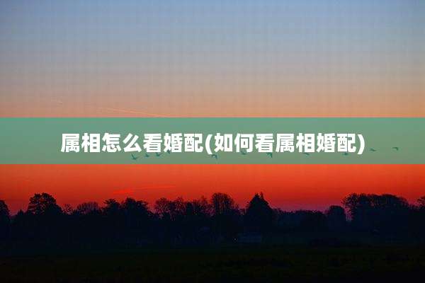 属相怎么看婚配(如何看属相婚配)