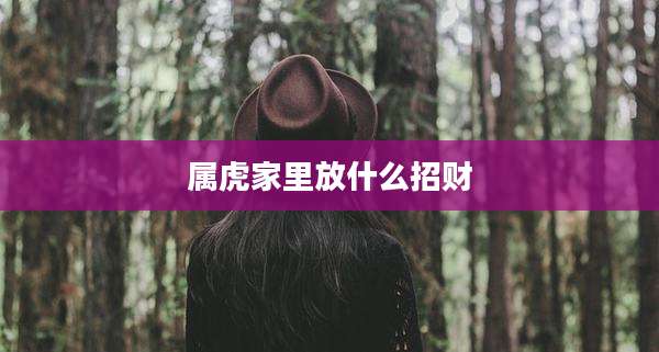 属虎家里放什么招财
