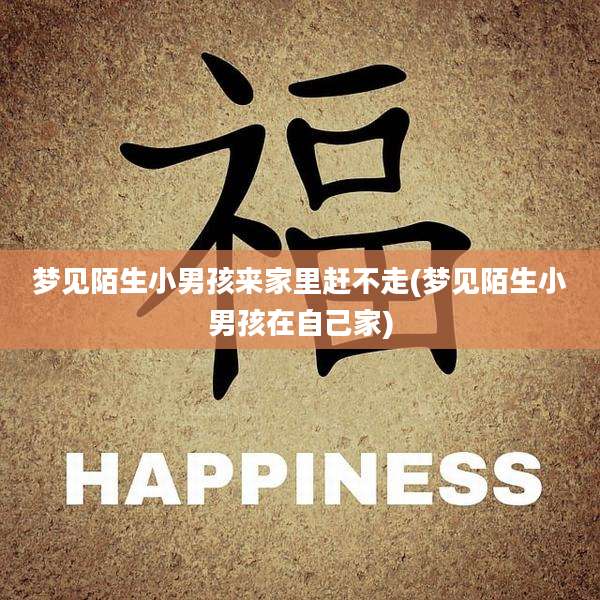 梦见陌生小男孩来家里赶不走(梦见陌生小男孩在自己家)