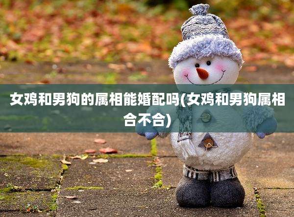 女鸡和男狗的属相能婚配吗(女鸡和男狗属相合不合)