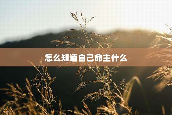 怎么知道自己命主什么
