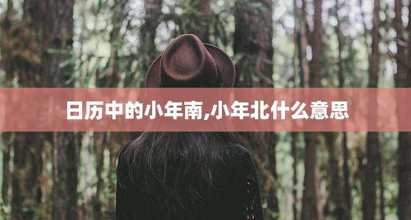 日历中的小年南,小年北什么意思
