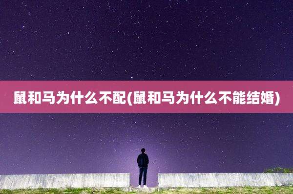 鼠和马为什么不配(鼠和马为什么不能结婚)