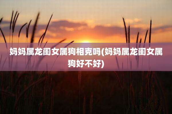 妈妈属龙闺女属狗相克吗(妈妈属龙闺女属狗好不好)