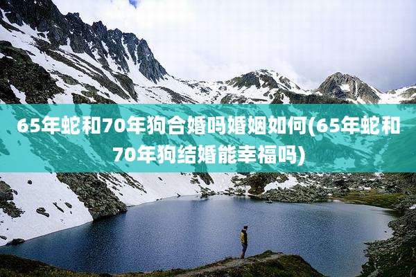 65年蛇和70年狗合婚吗婚姻如何(65年蛇和70年狗结婚能幸福吗)