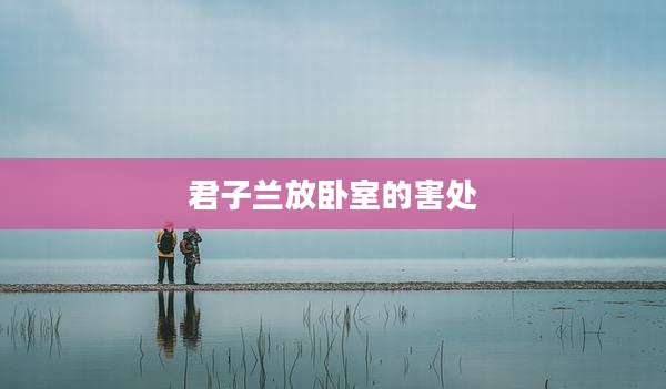 君子兰放卧室的害处