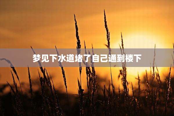 梦见下水道堵了自己通到楼下