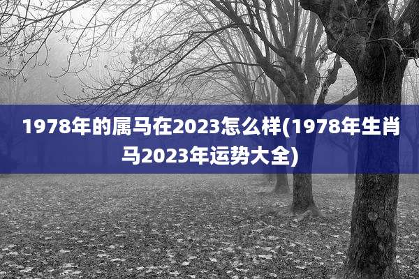 1978年的属马在2023怎么样(1978年生肖马2023年运势大全)