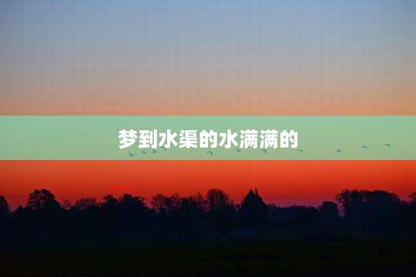 梦到水渠的水满满的