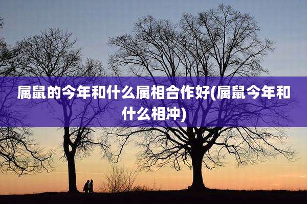 属鼠的今年和什么属相合作好(属鼠今年和什么相冲)