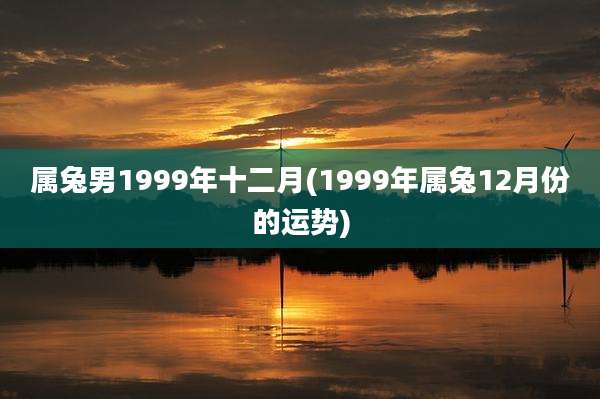 属兔男1999年十二月(1999年属兔12月份的运势)