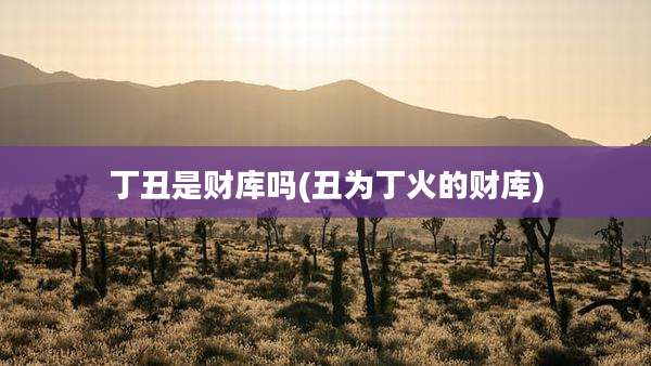 丁丑是财库吗(丑为丁火的财库)