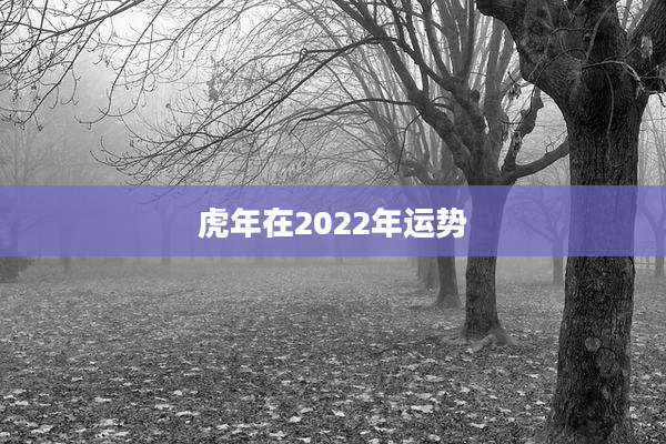 虎年在2022年运势