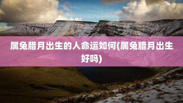 属兔腊月出生的人命运如何(属兔腊月出生好吗)