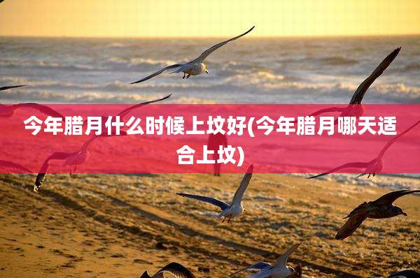 今年腊月什么时候上坟好(今年腊月哪天适合上坟)