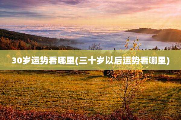 30岁运势看哪里(三十岁以后运势看哪里)