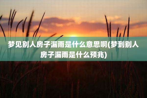 梦见别人房子漏雨是什么意思啊(梦到别人房子漏雨是什么预兆)