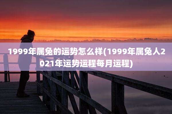 1999年属兔的运势怎么样(1999年属兔人2021年运势运程每月运程)
