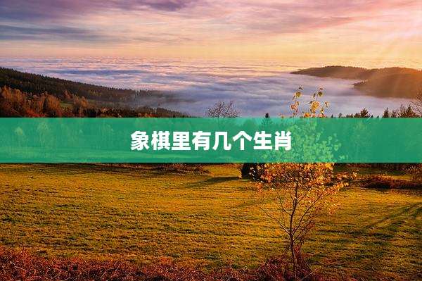 象棋里有几个生肖
