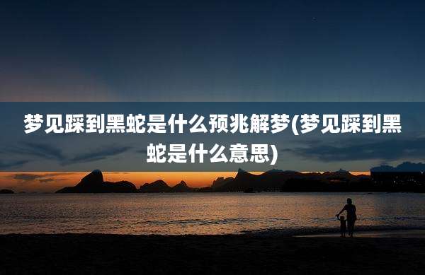 梦见踩到黑蛇是什么预兆解梦(梦见踩到黑蛇是什么意思)