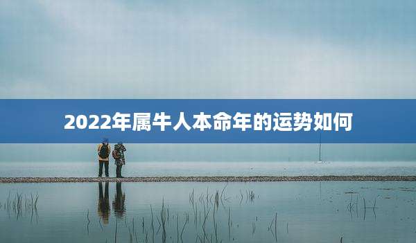 2022年属牛人本命年的运势如何