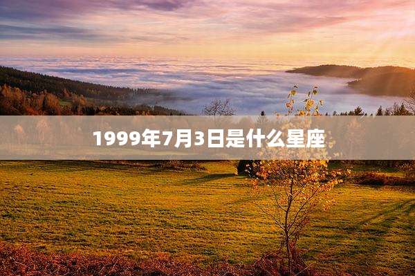 1999年7月3日是什么星座