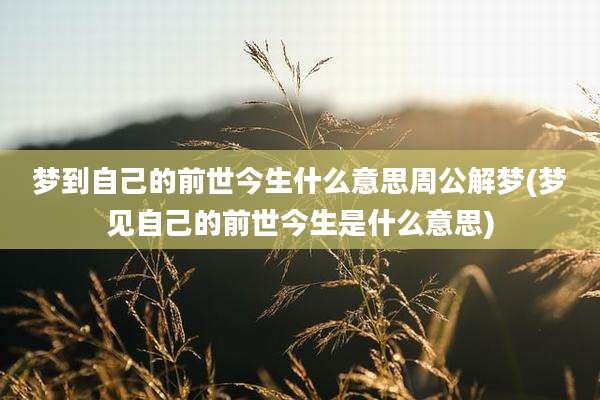 梦到自己的前世今生什么意思周公解梦(梦见自己的前世今生是什么意思)